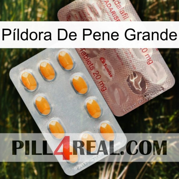 Píldora De Pene Grande new13.jpg